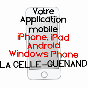 application mobile à LA CELLE-GUENAND / INDRE-ET-LOIRE