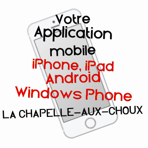 application mobile à LA CHAPELLE-AUX-CHOUX / SARTHE