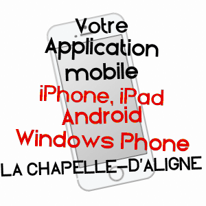 application mobile à LA CHAPELLE-D'ALIGNé / SARTHE