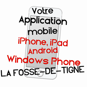 application mobile à LA FOSSE-DE-TIGNé / MAINE-ET-LOIRE