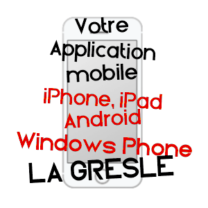 application mobile à LA GRESLE / LOIRE