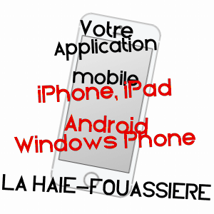 application mobile à LA HAIE-FOUASSIèRE / LOIRE-ATLANTIQUE