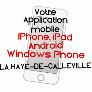 application mobile à LA HAYE-DE-CALLEVILLE / EURE