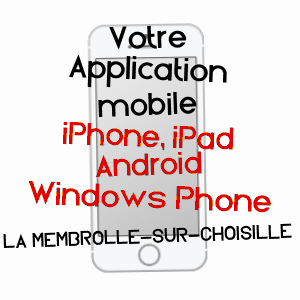 application mobile à LA MEMBROLLE-SUR-CHOISILLE / INDRE-ET-LOIRE