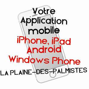 application mobile à LA PLAINE-DES-PALMISTES / RéUNION
