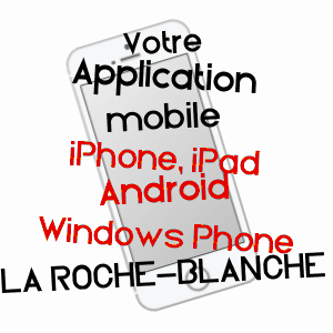 application mobile à LA ROCHE-BLANCHE / PUY-DE-DôME