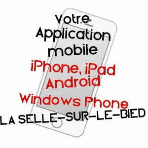 application mobile à LA SELLE-SUR-LE-BIED / LOIRET
