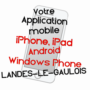 application mobile à LANDES-LE-GAULOIS / LOIR-ET-CHER