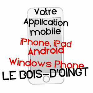 application mobile à LE BOIS-D'OINGT / RHôNE