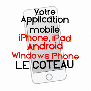 application mobile à LE COTEAU / LOIRE