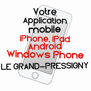 application mobile à LE GRAND-PRESSIGNY / INDRE-ET-LOIRE