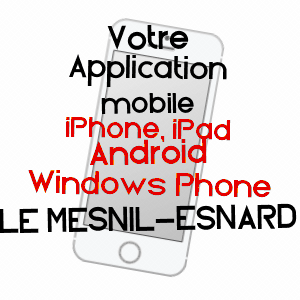 application mobile à LE MESNIL-ESNARD / SEINE-MARITIME