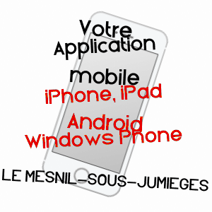 application mobile à LE MESNIL-SOUS-JUMIèGES / SEINE-MARITIME