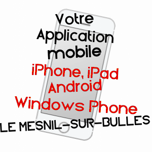 application mobile à LE MESNIL-SUR-BULLES / OISE