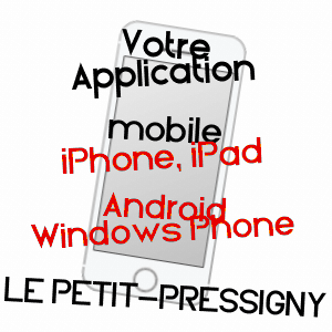 application mobile à LE PETIT-PRESSIGNY / INDRE-ET-LOIRE