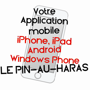application mobile à LE PIN-AU-HARAS / ORNE