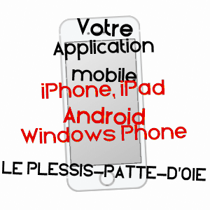 application mobile à LE PLESSIS-PATTE-D'OIE / OISE