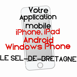 application mobile à LE SEL-DE-BRETAGNE / ILLE-ET-VILAINE