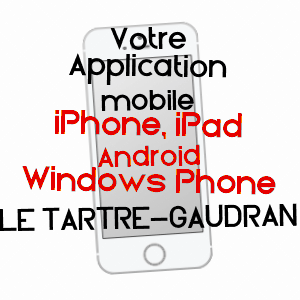 application mobile à LE TARTRE-GAUDRAN / YVELINES