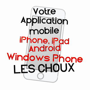application mobile à LES CHOUX / LOIRET