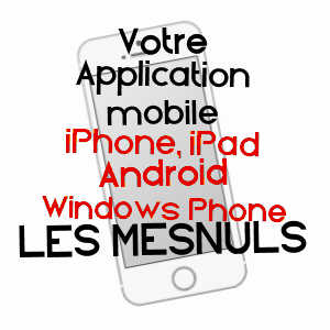 application mobile à LES MESNULS / YVELINES