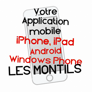 application mobile à LES MONTILS / LOIR-ET-CHER