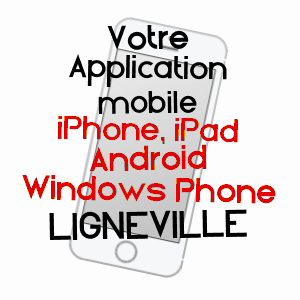 application mobile à LIGNéVILLE / VOSGES