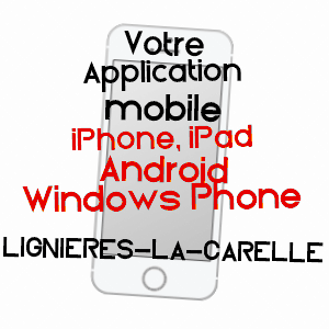 application mobile à LIGNIèRES-LA-CARELLE / SARTHE