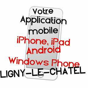 application mobile à LIGNY-LE-CHâTEL / YONNE