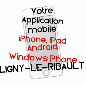 application mobile à LIGNY-LE-RIBAULT / LOIRET