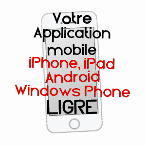 application mobile à LIGRé / INDRE-ET-LOIRE