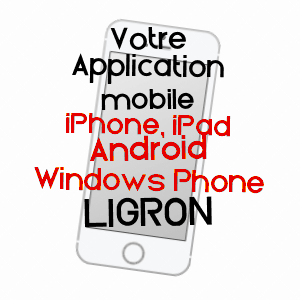 application mobile à LIGRON / SARTHE