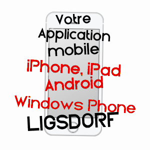 application mobile à LIGSDORF / HAUT-RHIN