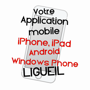 application mobile à LIGUEIL / INDRE-ET-LOIRE