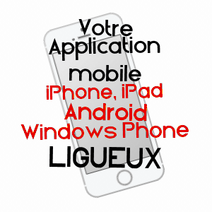 application mobile à LIGUEUX / GIRONDE