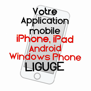 application mobile à LIGUGé / VIENNE