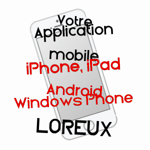 application mobile à LOREUX / LOIR-ET-CHER