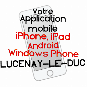 application mobile à LUCENAY-LE-DUC / CôTE-D'OR