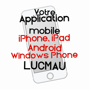application mobile à LUCMAU / GIRONDE