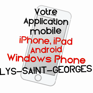 application mobile à LYS-SAINT-GEORGES / INDRE