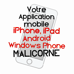 application mobile à MALICORNE / YONNE