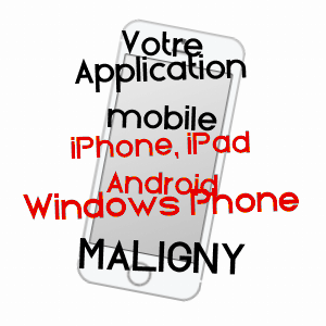 application mobile à MALIGNY / YONNE