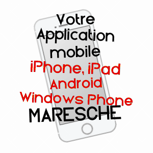 application mobile à MARESCHé / SARTHE