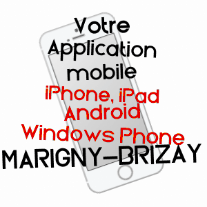 application mobile à MARIGNY-BRIZAY / VIENNE