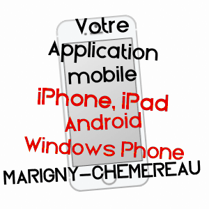 application mobile à MARIGNY-CHEMEREAU / VIENNE