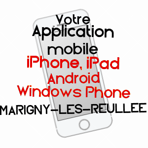 application mobile à MARIGNY-LèS-REULLéE / CôTE-D'OR