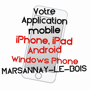 application mobile à MARSANNAY-LE-BOIS / CôTE-D'OR