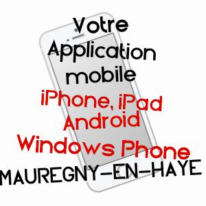 application mobile à MAUREGNY-EN-HAYE / AISNE