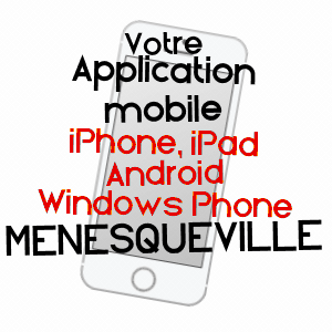 application mobile à MéNESQUEVILLE / EURE