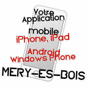 application mobile à MéRY-èS-BOIS / CHER